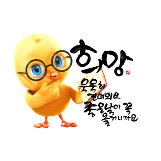 피드 이미지