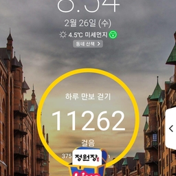 피드에 업로드 된 이미지