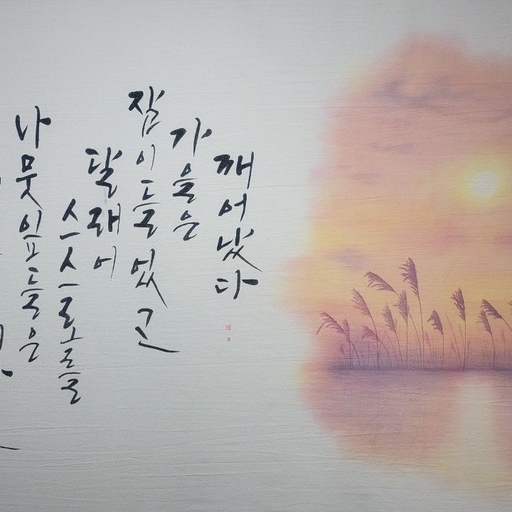 피드 이미지