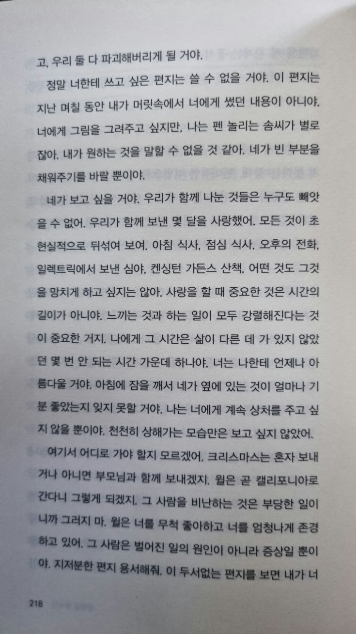 피드 이미지