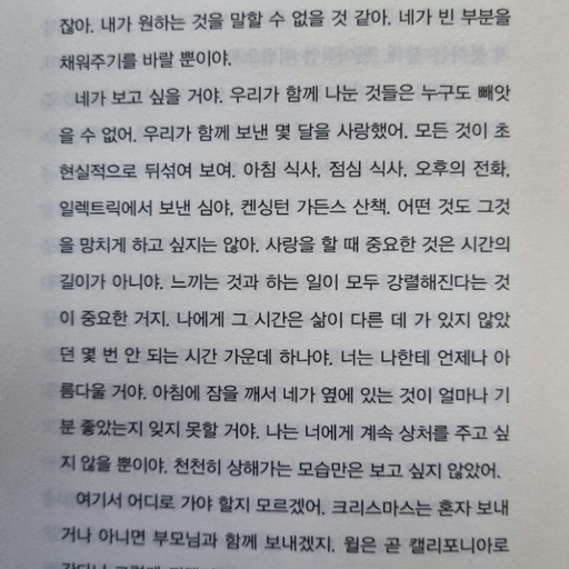 피드 이미지