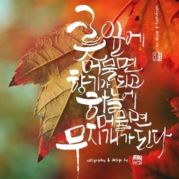 피드에 업로드 된 이미지