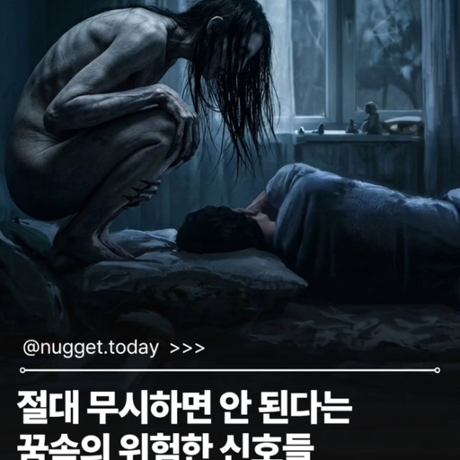 피드 이미지