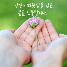 ํผ๋์ ์
๋ก๋ ๋ ์ด๋ฏธ์ง