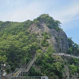 피드에 업로드 된 이미지