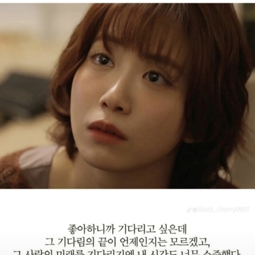 피드 이미지