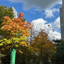 피드에 업로드 된 이미지