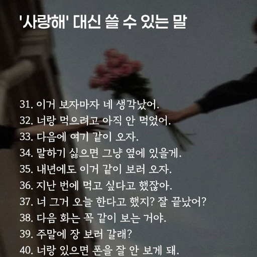 피드 이미지