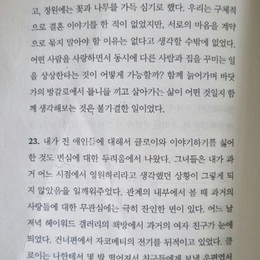 피드 이미지