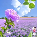 멤버 프로필
