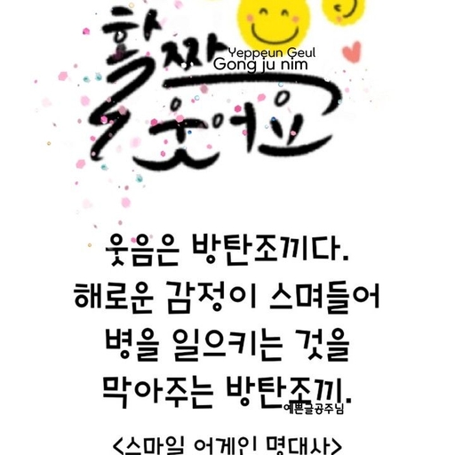 피드 이미지