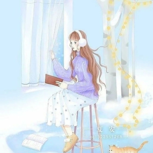 피드 이미지