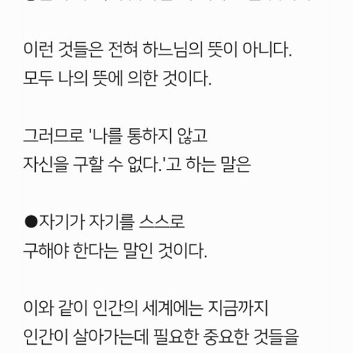 피드 이미지