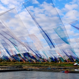 피드에 업로드 된 이미지