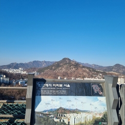 피드에 업로드 된 이미지