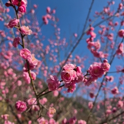 피드에 업로드 된 이미지