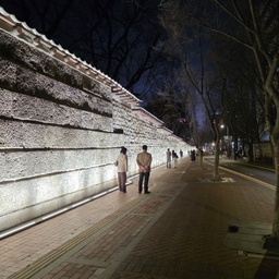 피드에 업로드 된 이미지