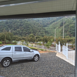 피드에 업로드 된 이미지