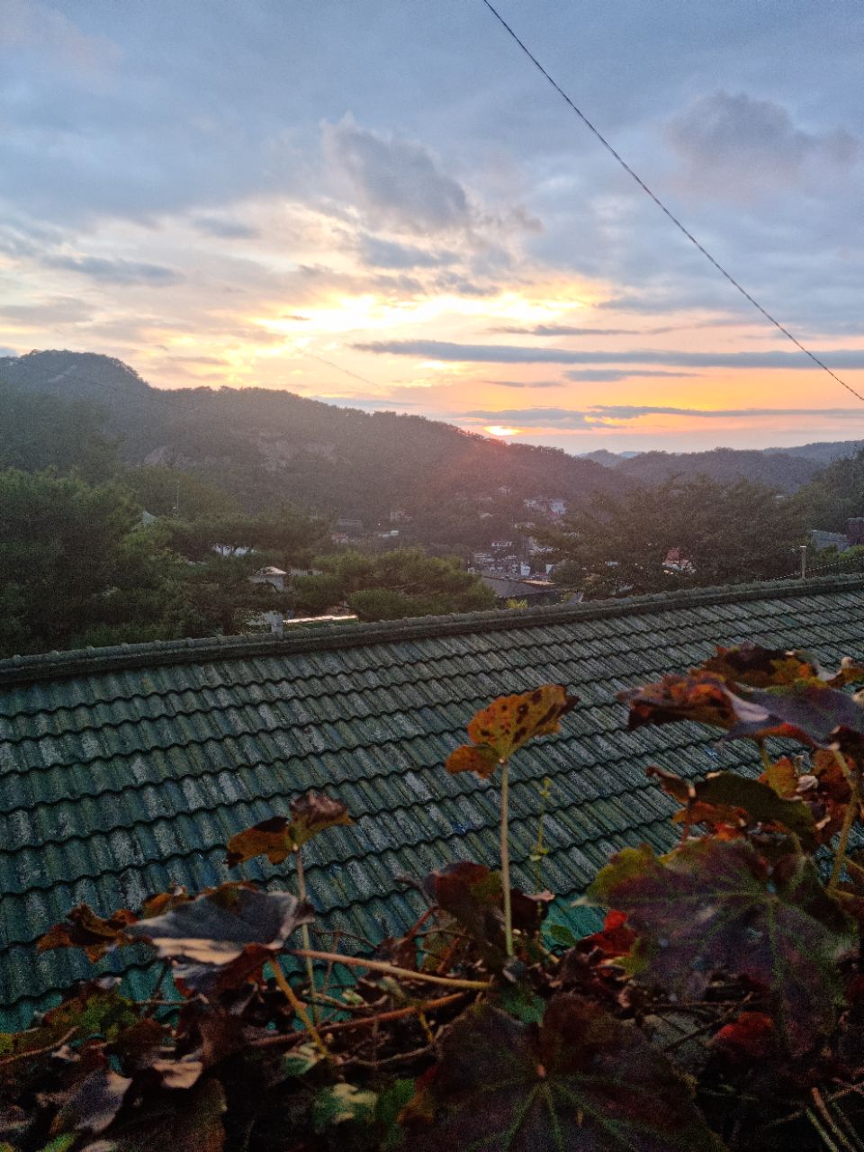 피드 이미지