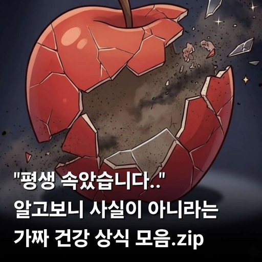 피드 이미지