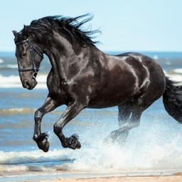 공지사항에 업로드 된 이미지