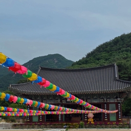 피드에 업로드 된 이미지
