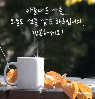 ํผ๋์ ์
๋ก๋ ๋ ์ด๋ฏธ์ง