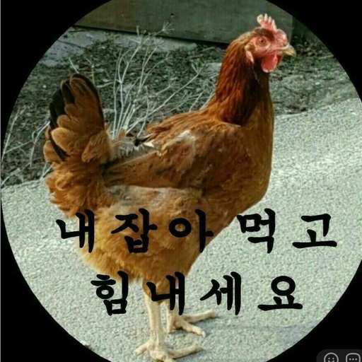 피드 이미지