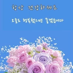 피드에 업로드 된 이미지