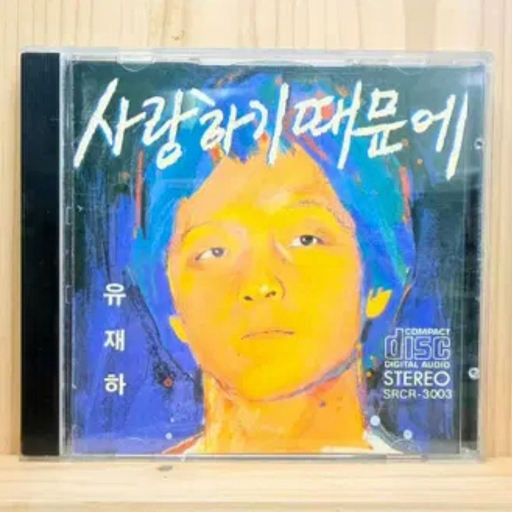 피드 이미지