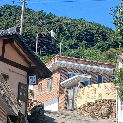 피드 이미지