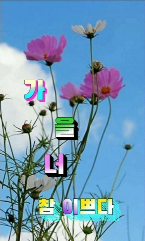 피드에 업로드 된 이미지
