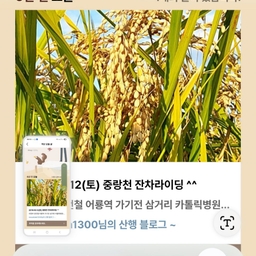 피드에 업로드 된 이미지