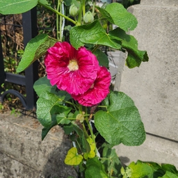 피드에 업로드 된 이미지