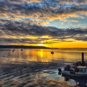 참가 유저 프로필