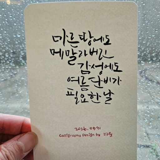 피드 이미지