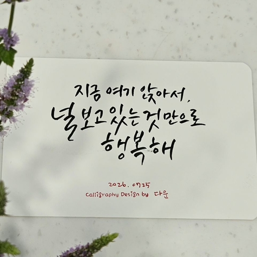 피드 이미지