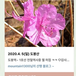 피드에 업로드 된 이미지