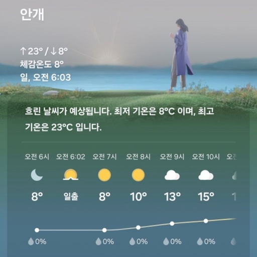 피드 이미지