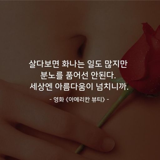 피드 이미지