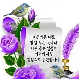피드에 업로드 된 이미지