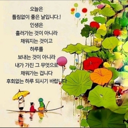 피드에 업로드 된 이미지