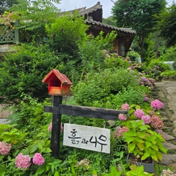 피드에 업로드 된 이미지