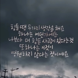 피드에 업로드 된 이미지