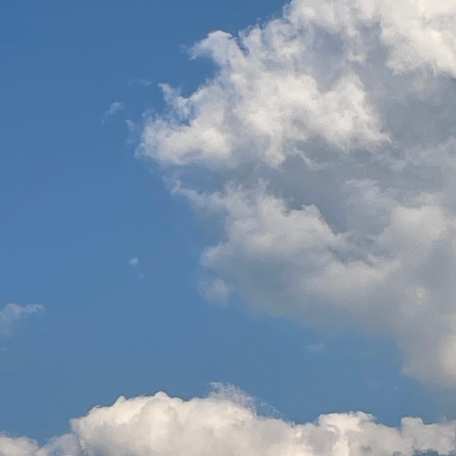 모임 대표 이미지