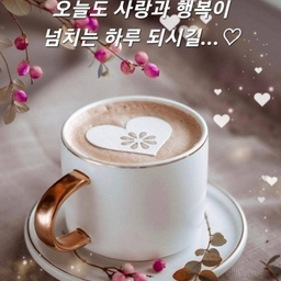 피드에 업로드 된 이미지