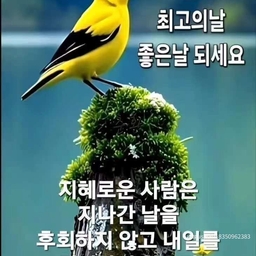 ํผ๋์ ์
๋ก๋ ๋ ์ด๋ฏธ์ง