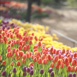 피드에 업로드 된 이미지