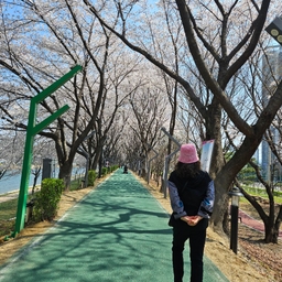 피드에 업로드 된 이미지