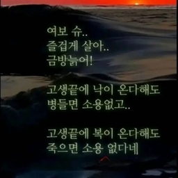 피드에 업로드 된 이미지